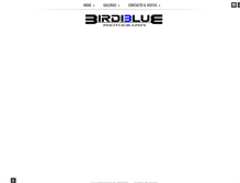 Tablet Screenshot of birdiblue.com